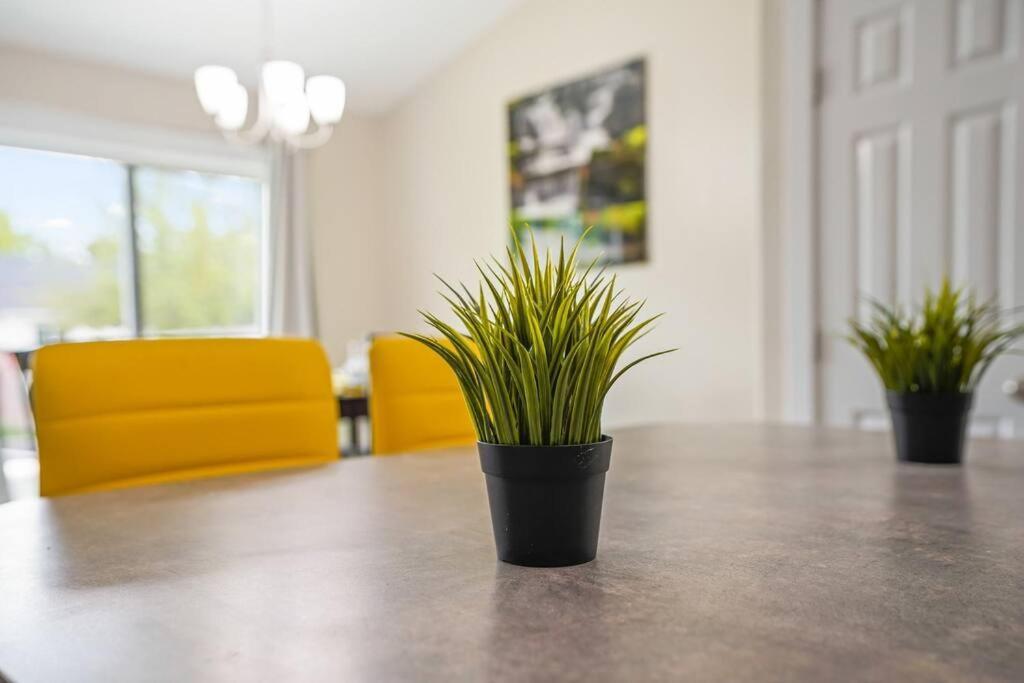Remodeled, Charming Retreat On The City'S Doorstep Μπόιζ Εξωτερικό φωτογραφία